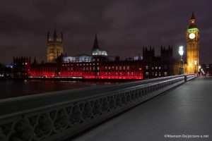 In London, Westminster Cathedral and the Houses of Parliament showed their solidarity with those suffering for the right to live in peace and practice their religion freely.